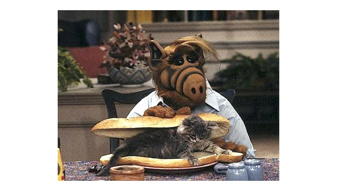 Alf Cat Sandwich