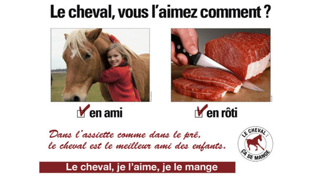 Le cheval