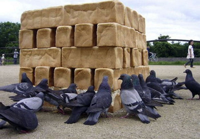 Pigeons Monolithe