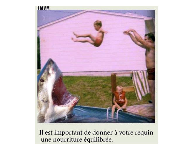 Requin mange enfant